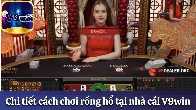 Khám Phá Luật Chơi Rồng Hổ Hấp Dẫn Và Thú Vị Tại V9win 2 Hướng dẫn luật chơi Dragon Tiger đơn giản và dễ hiểu